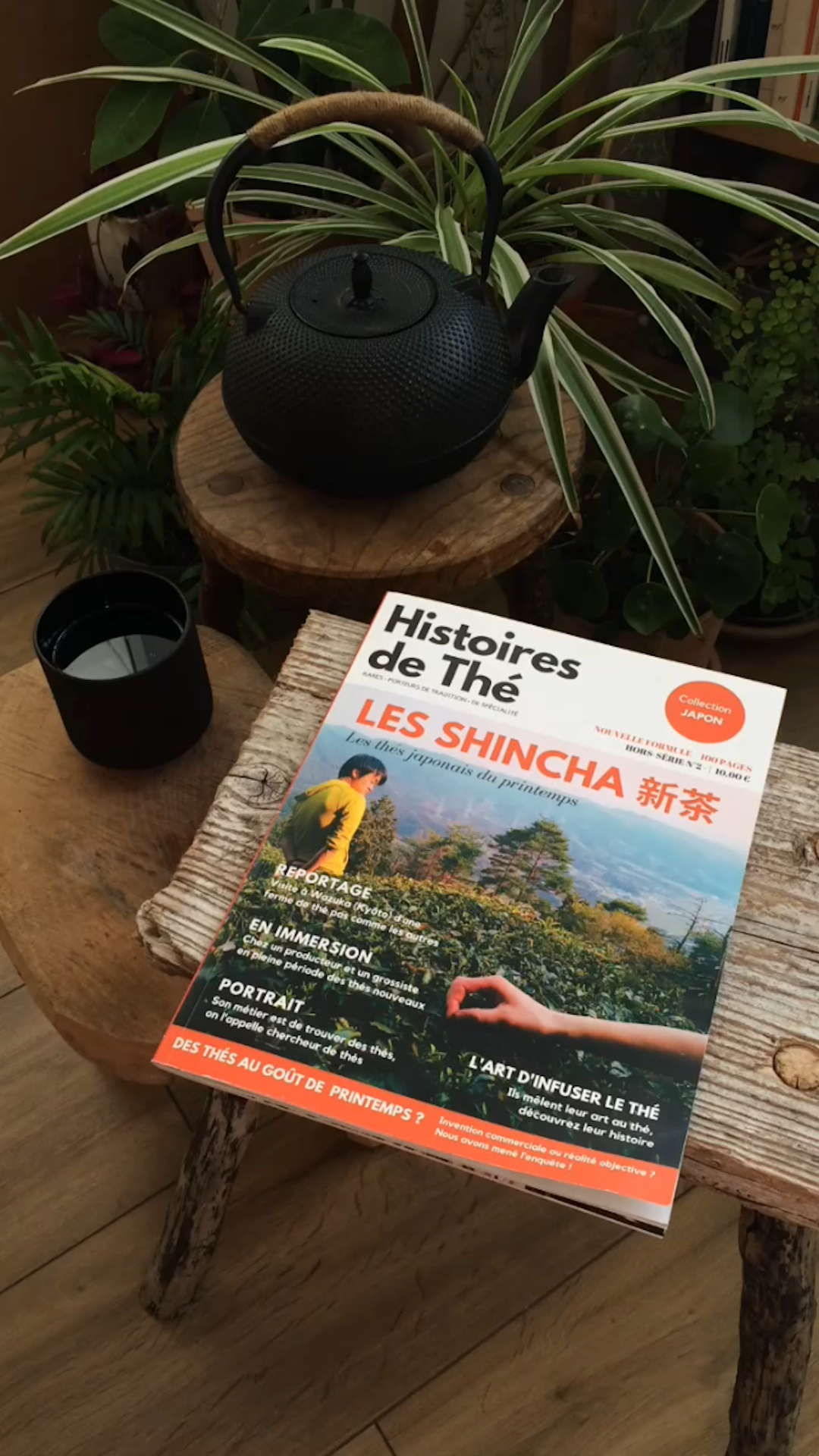 Impossible de lire la video